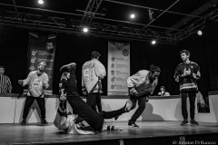 DSCF8787